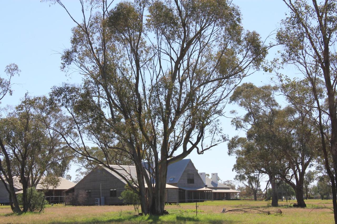 Yarrabandai Creek Homestead Farm stay
